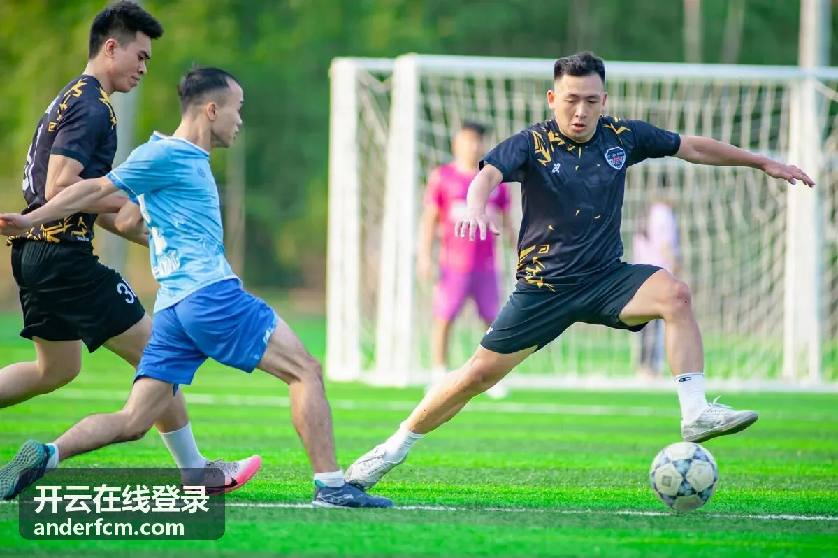 开云在线登录院校师生统一登录入口案例