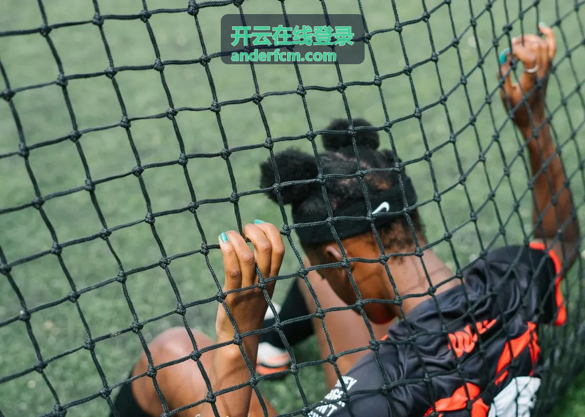 开云在线登录登录审计记录列表示意